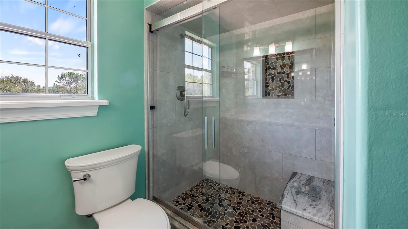17416 MAGNOLIA ISLAND BLVD, CLERMONT, FL, 34711