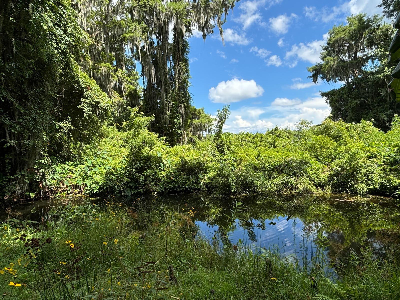 1162 CARMEL CIR #440, CASSELBERRY, FL, 32707