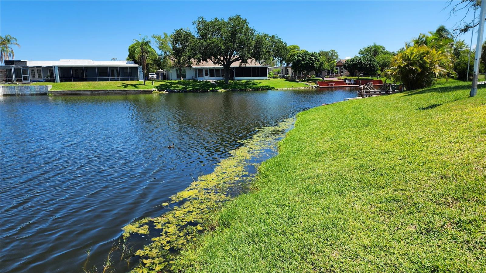 3627 ORTONA DR, HOLIDAY, FL, 34691