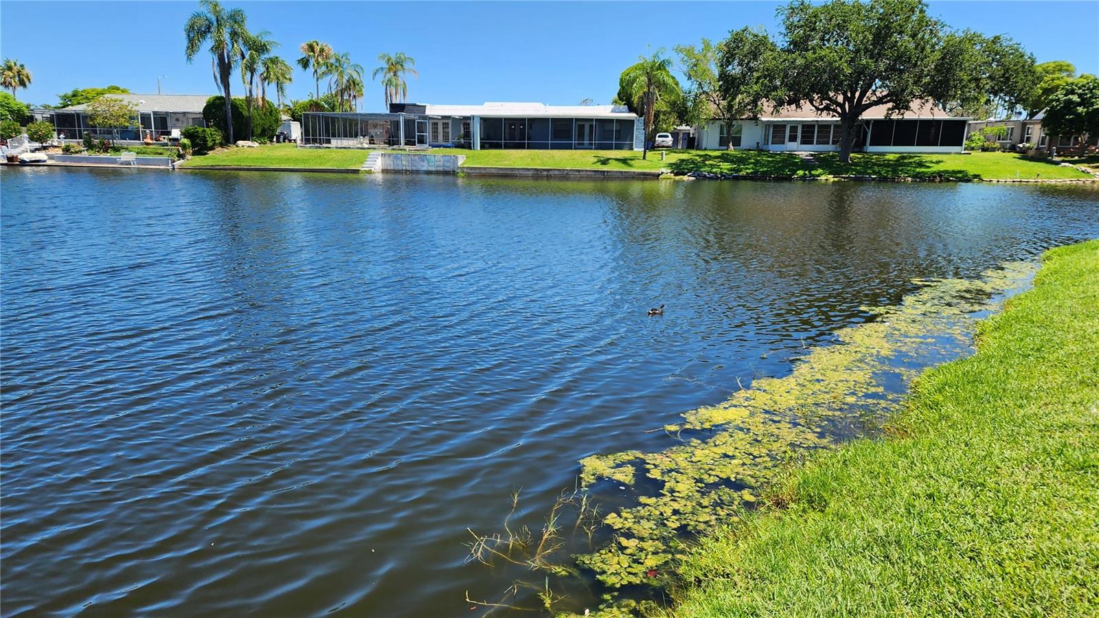 3627 ORTONA DR, HOLIDAY, FL, 34691