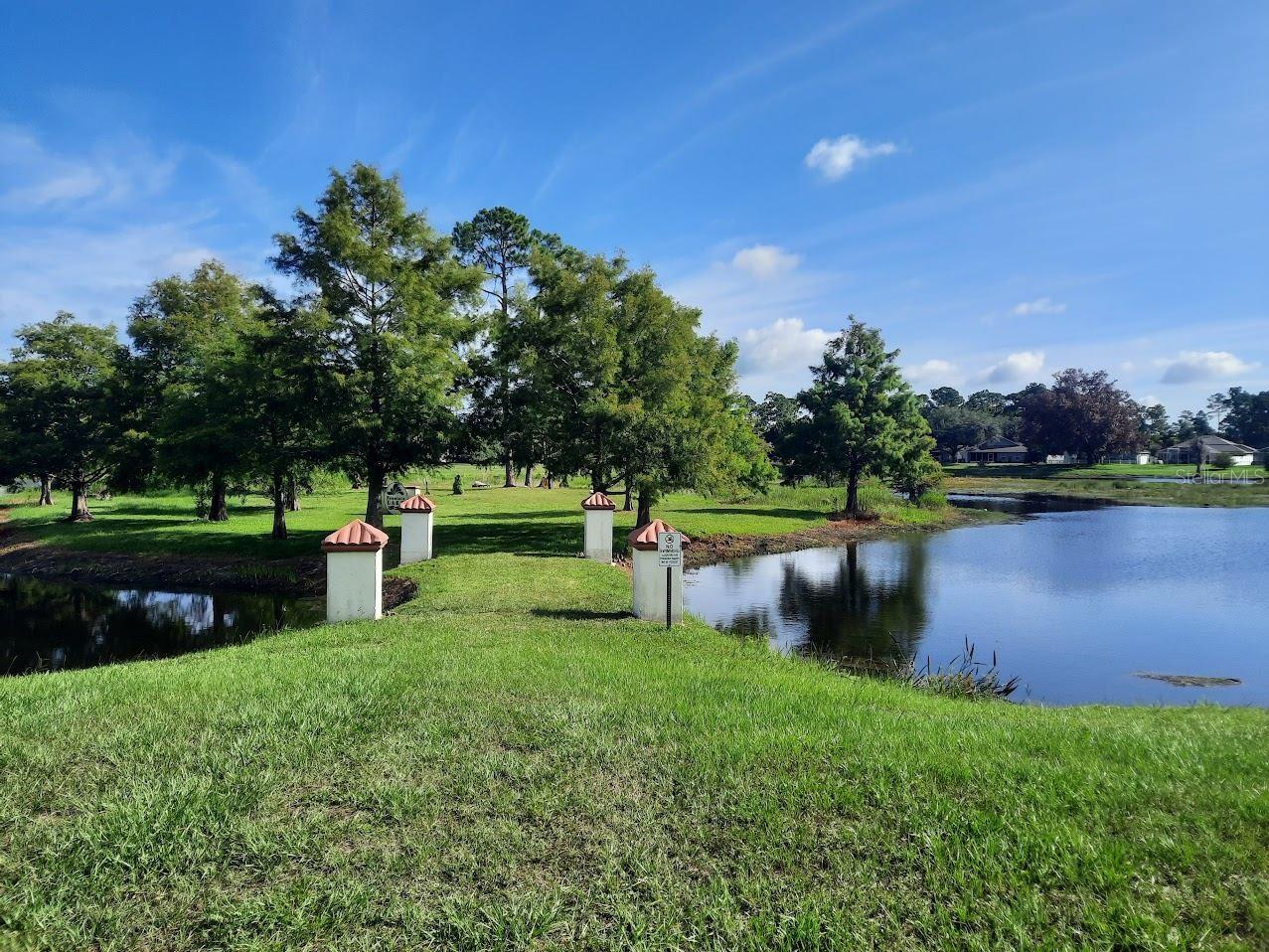 11341 LAKE DR, LEESBURG, FL, 34788