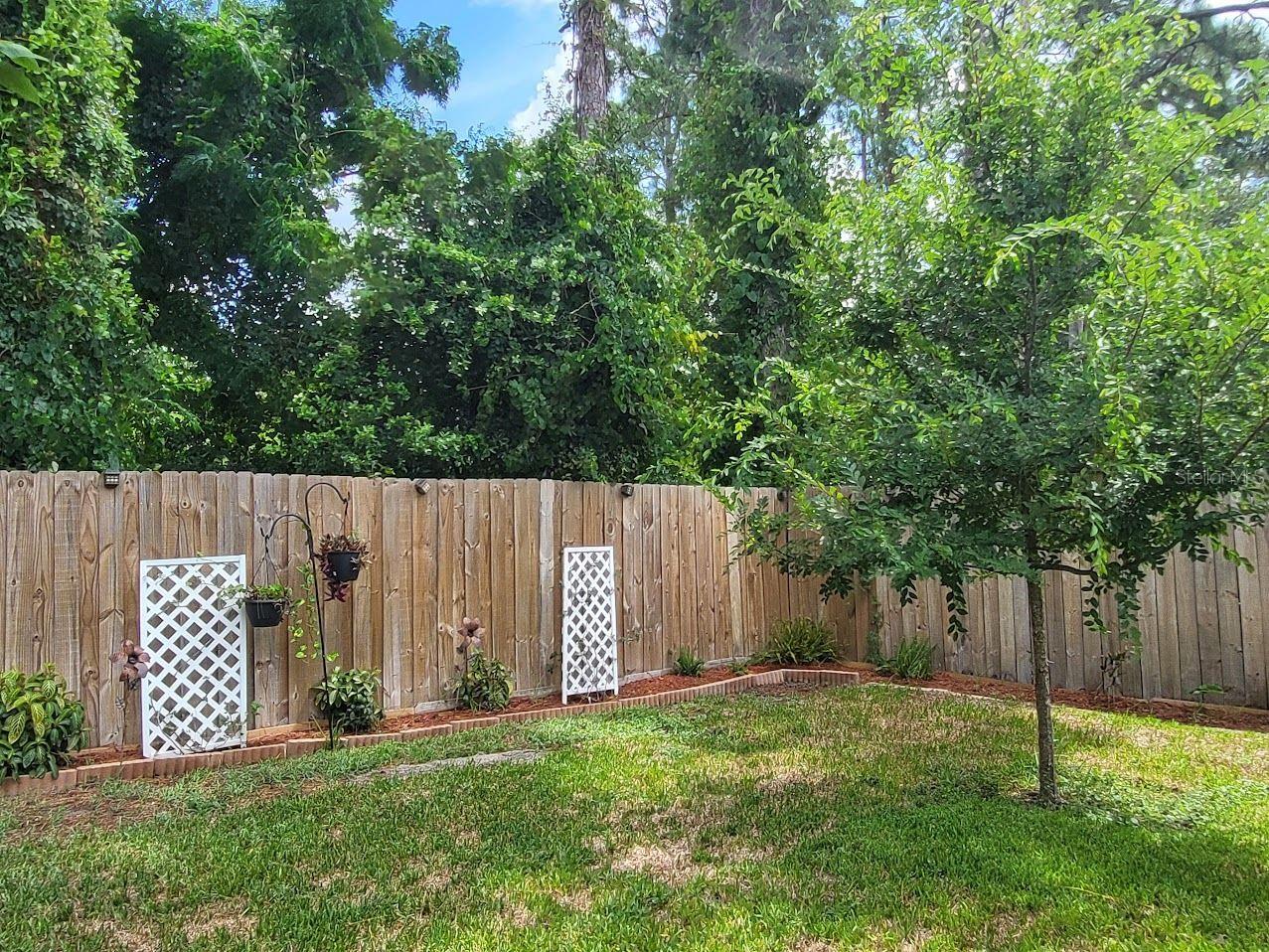 11341 LAKE DR, LEESBURG, FL, 34788