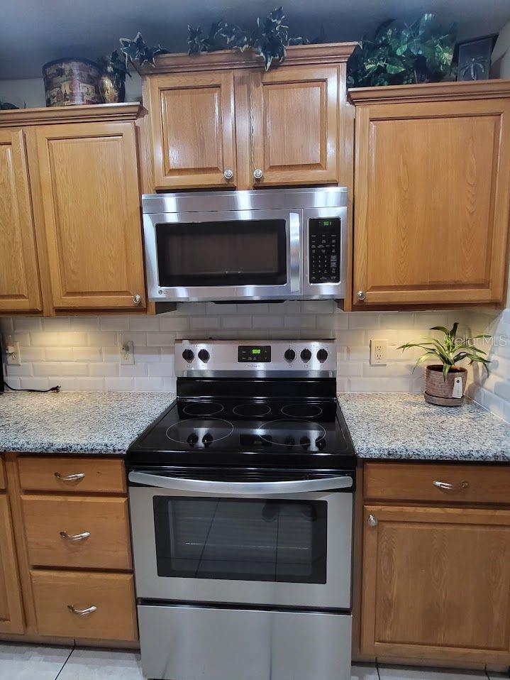 11341 LAKE DR, LEESBURG, FL, 34788