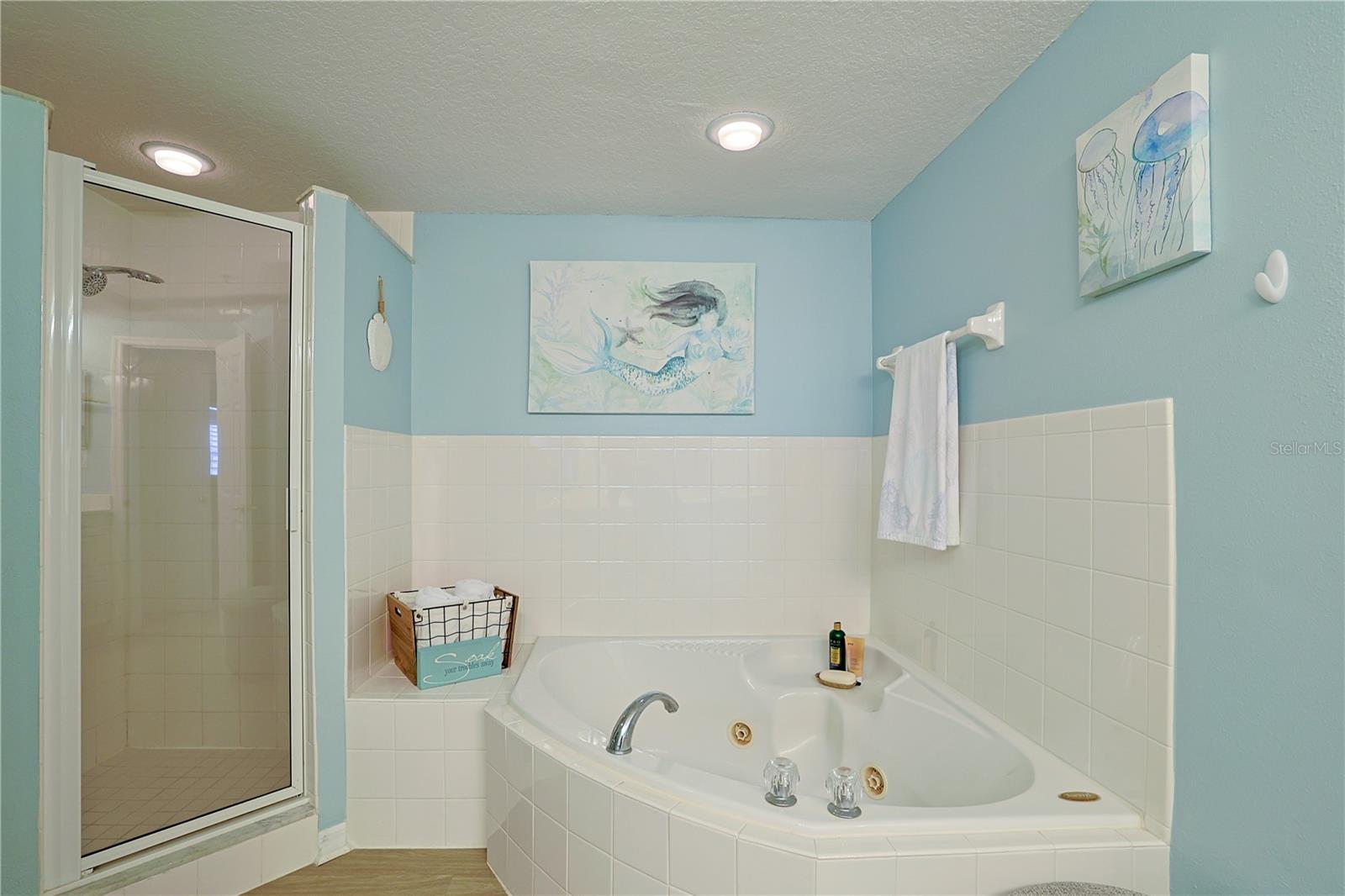 5300 S ATLANTIC AVE #6402, NEW SMYRNA BEACH, FL, 32169