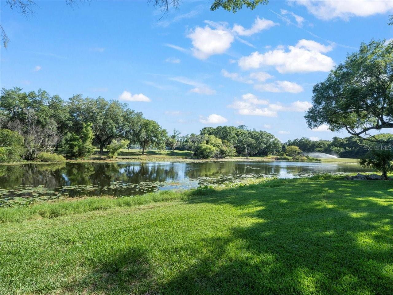 6407 E MACLAURIN DR, TAMPA, FL, 33647
