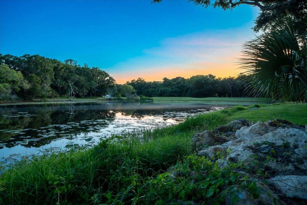 6407 E MACLAURIN DR, TAMPA, FL, 33647