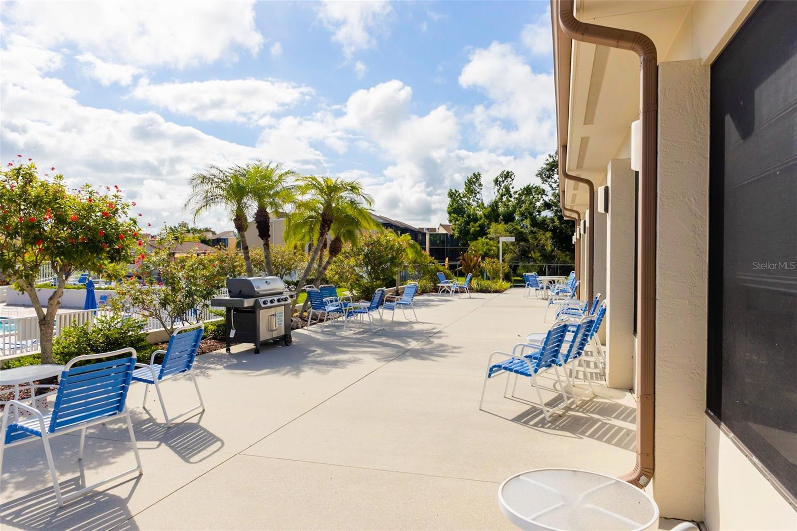 684 BIRD BAY CIR #25, VENICE, FL, 34285