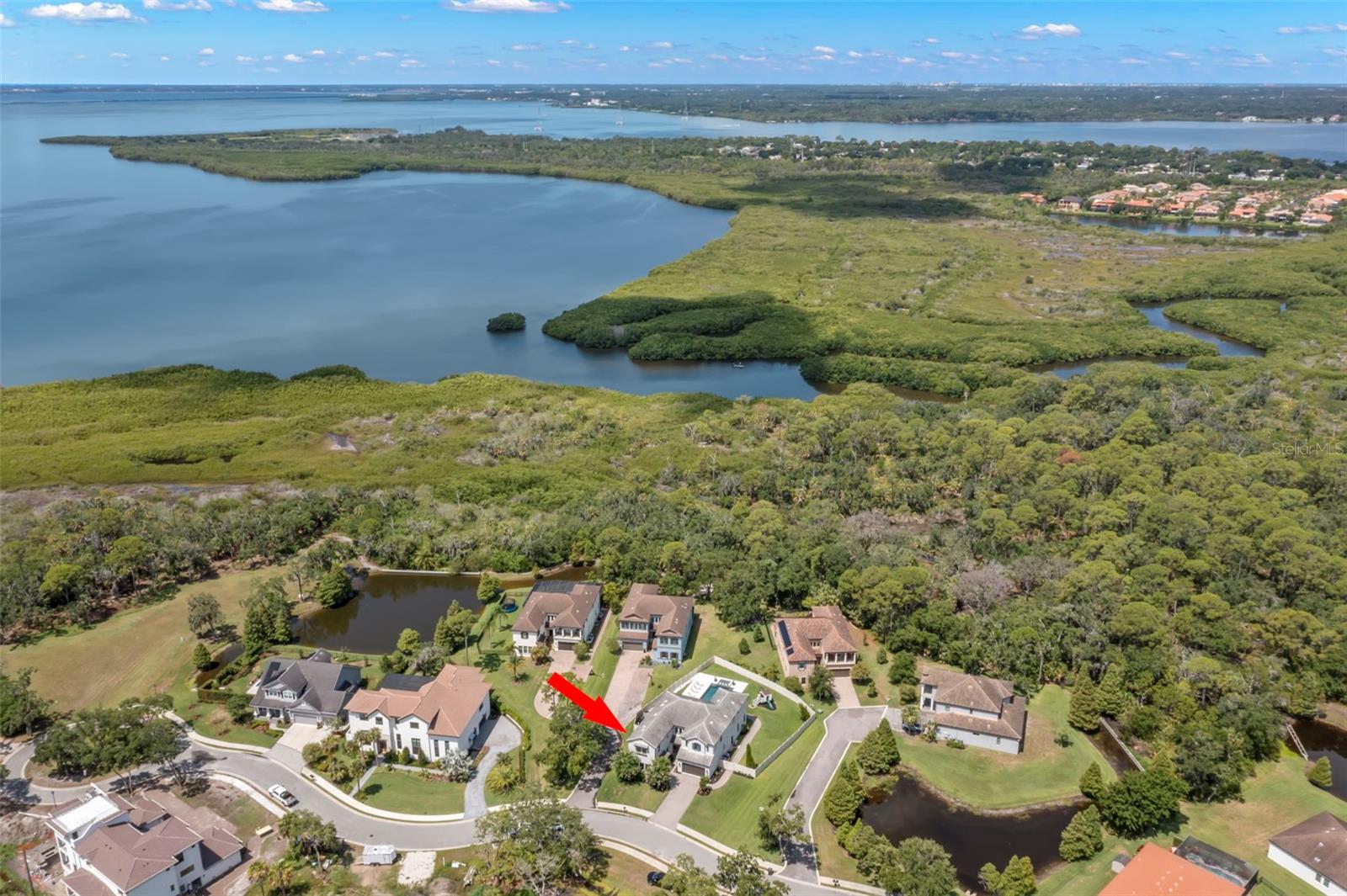 7836 MARSH POINTE DR, TAMPA, FL, 33635