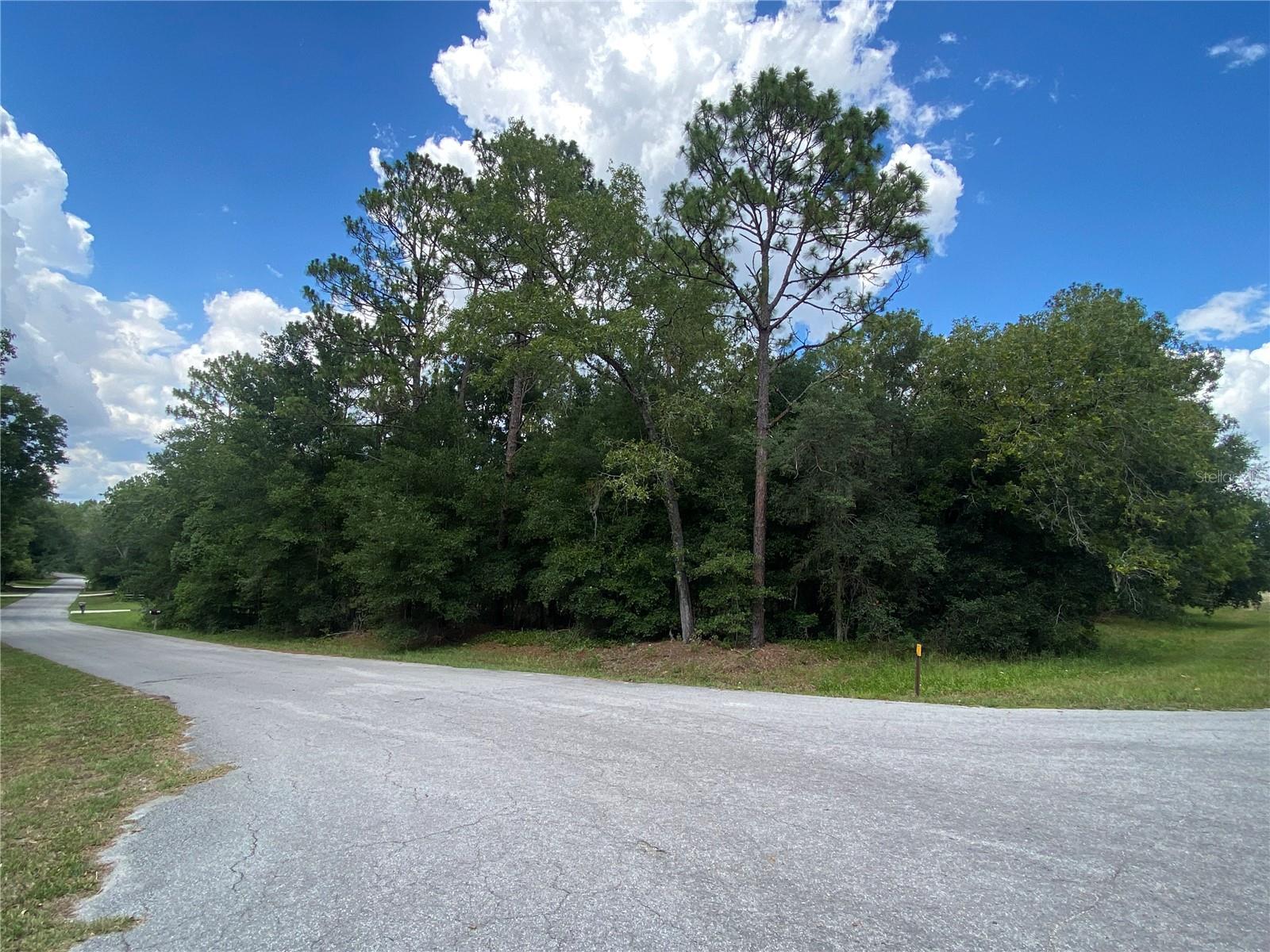 LOT 57 SW 203 AVE, DUNNELLON, FL, 34431