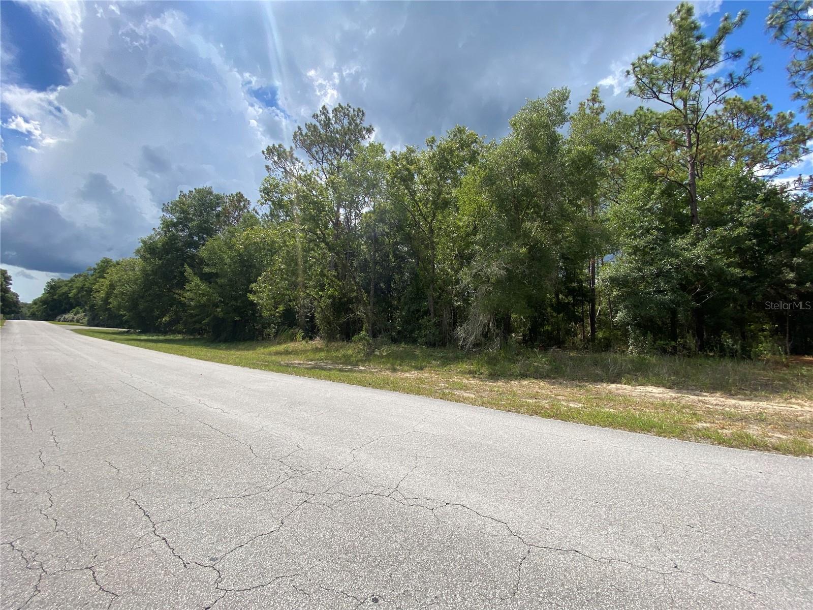 LOT 57 SW 203 AVE, DUNNELLON, FL, 34431