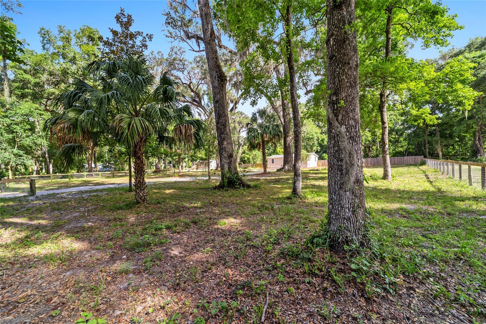 4181 NE 140TH PL, ANTHONY, FL, 32617