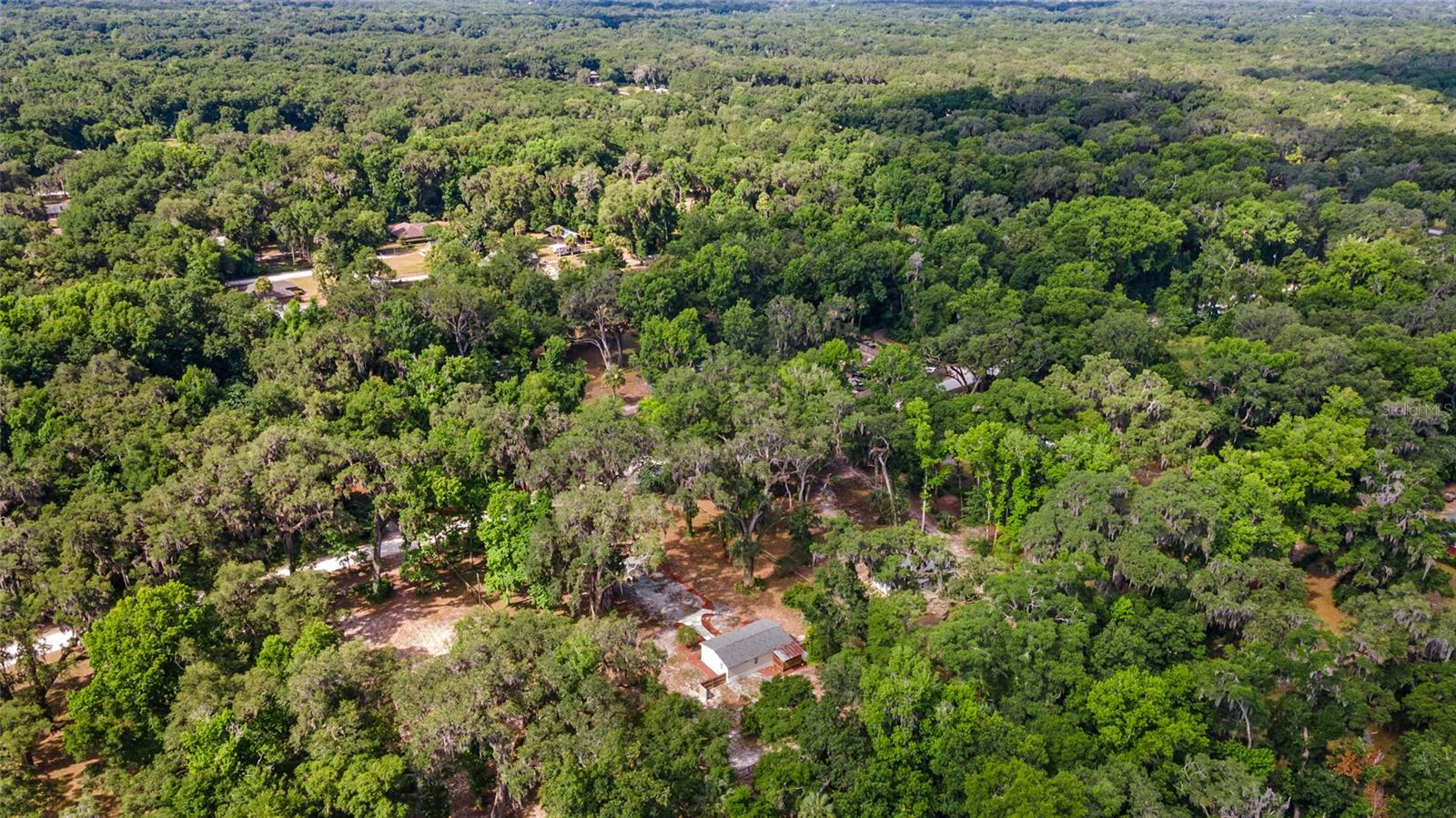 4181 NE 140TH PL, ANTHONY, FL, 32617
