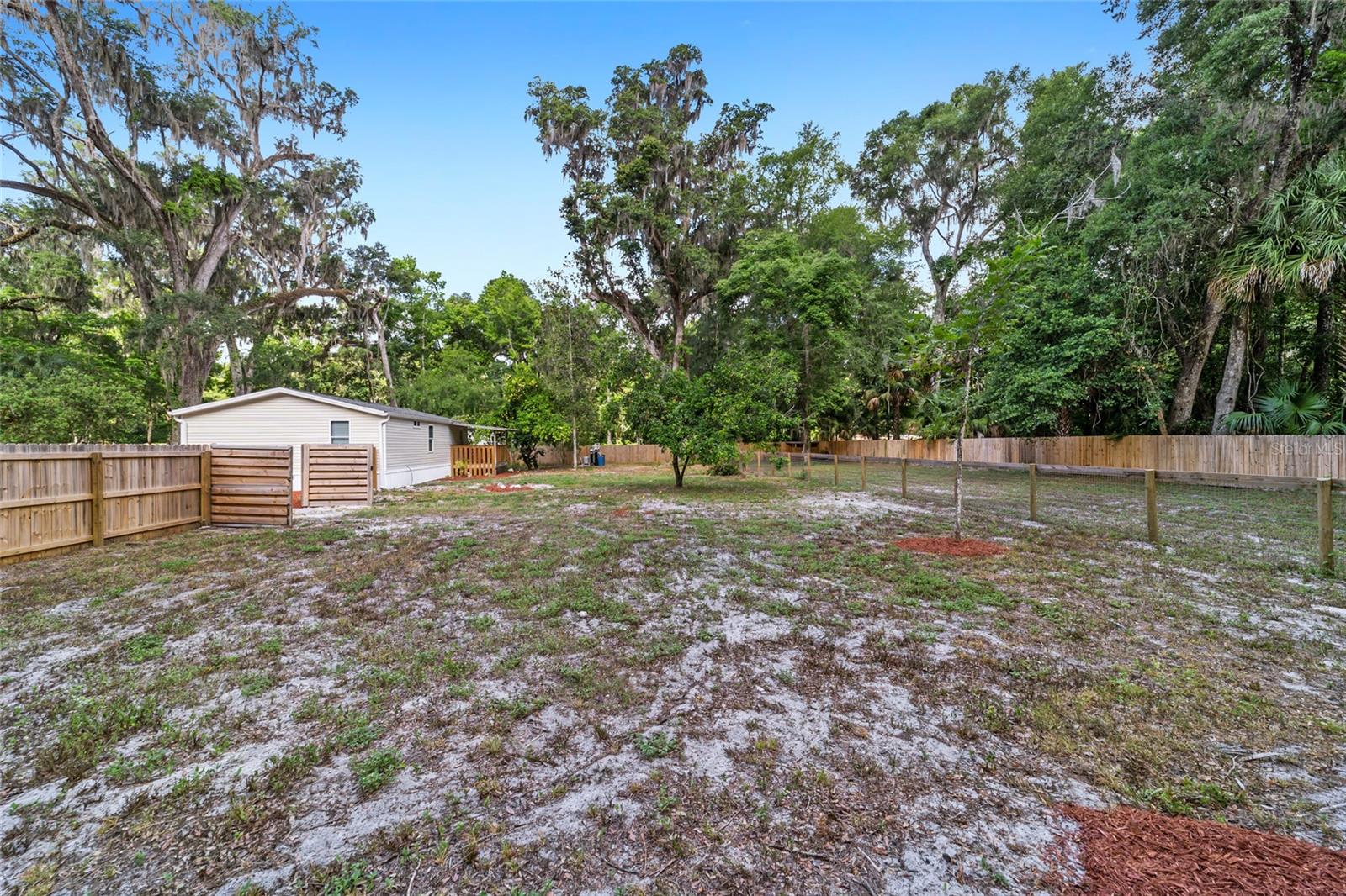 4181 NE 140TH PL, ANTHONY, FL, 32617