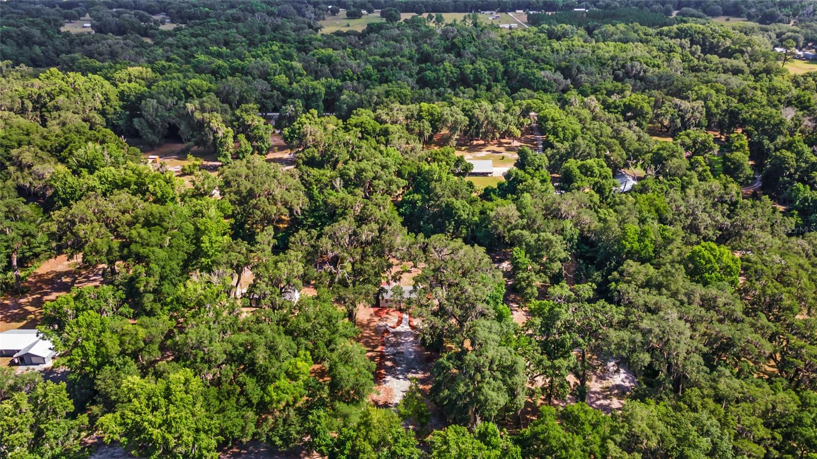 4181 NE 140TH PL, ANTHONY, FL, 32617