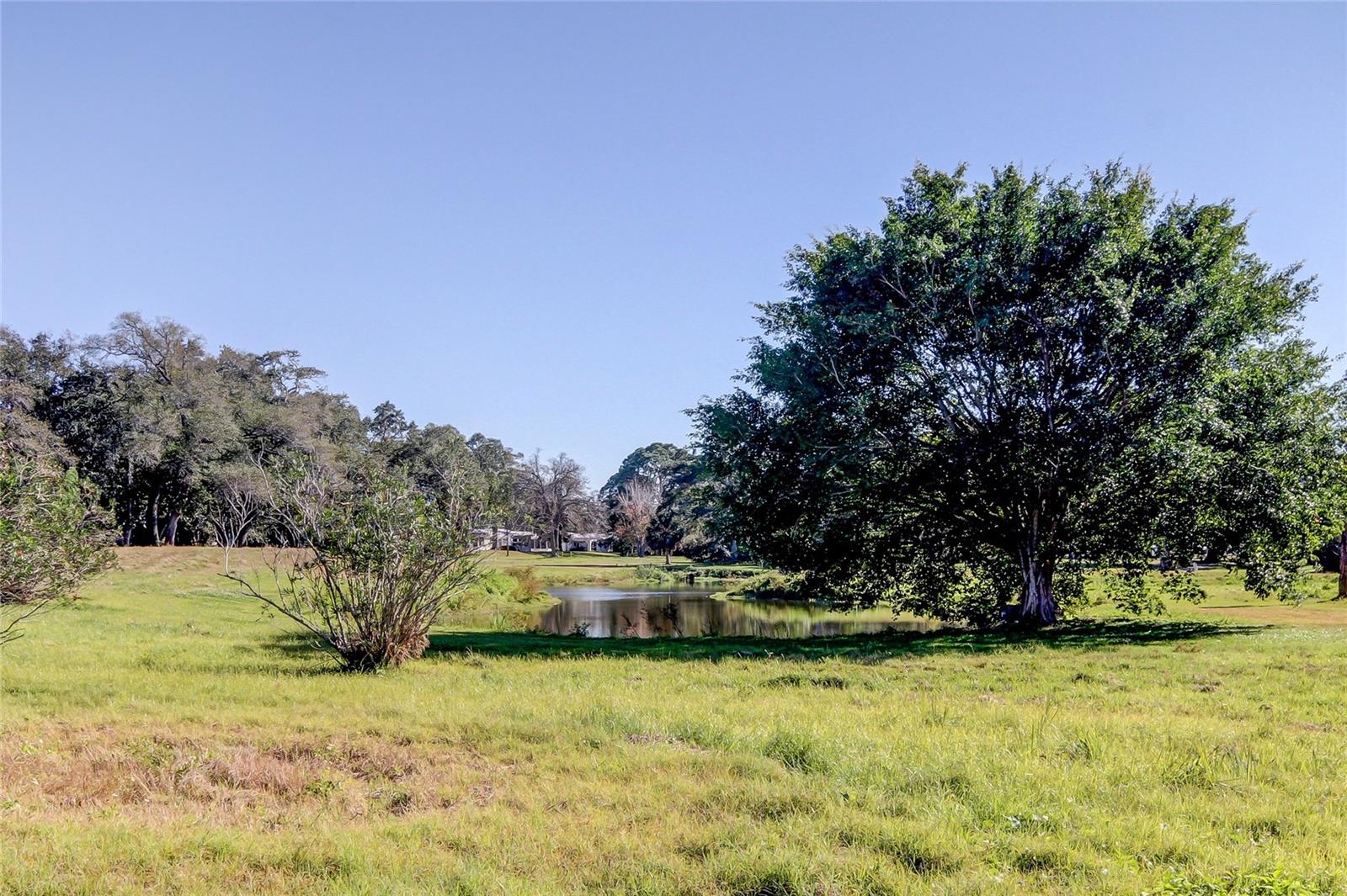 9490 HARBOR GREENS WAY #205, SEMINOLE, FL, 33776