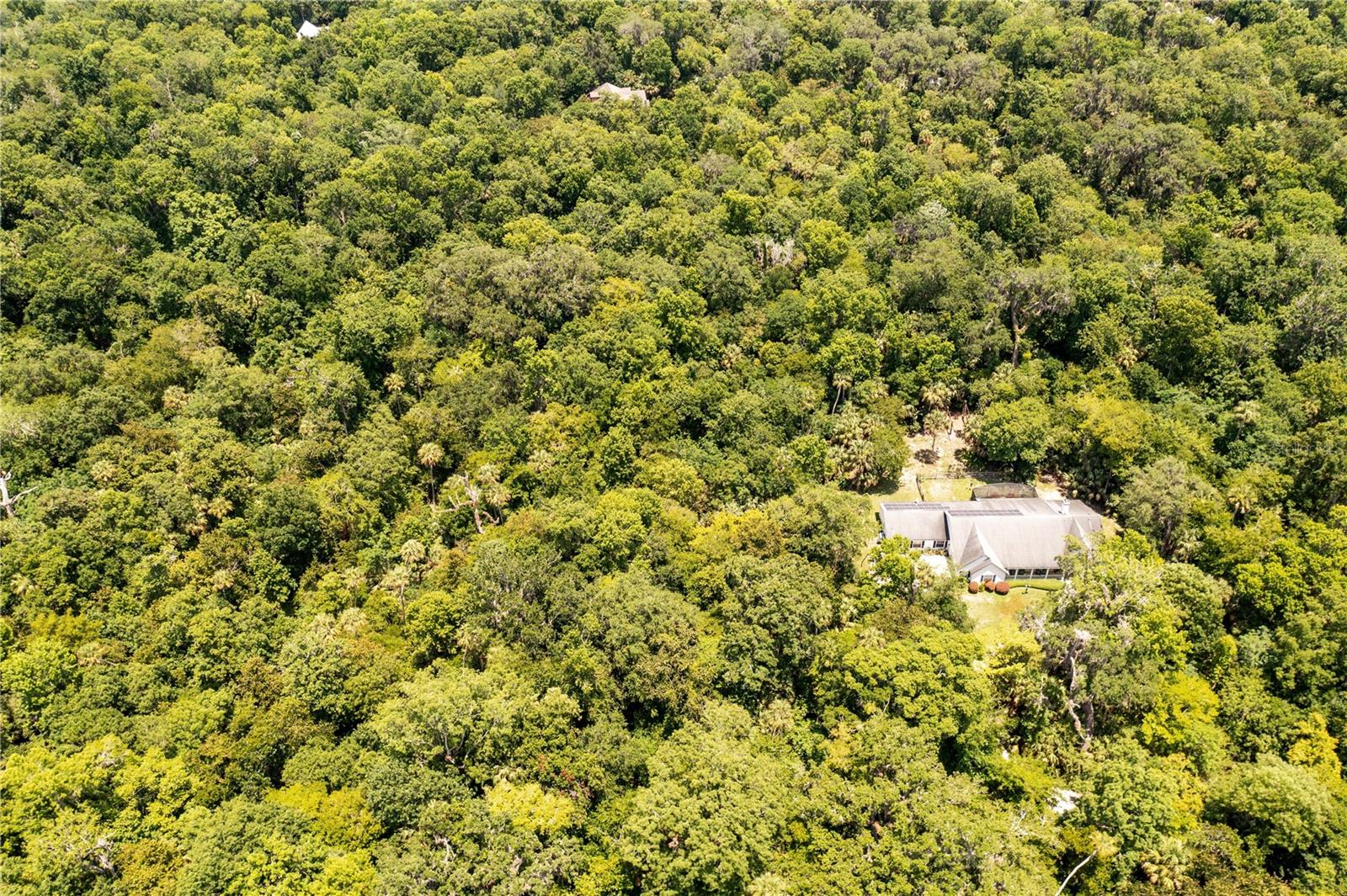 SHADY PALM CV, OVIEDO, FL, 32765