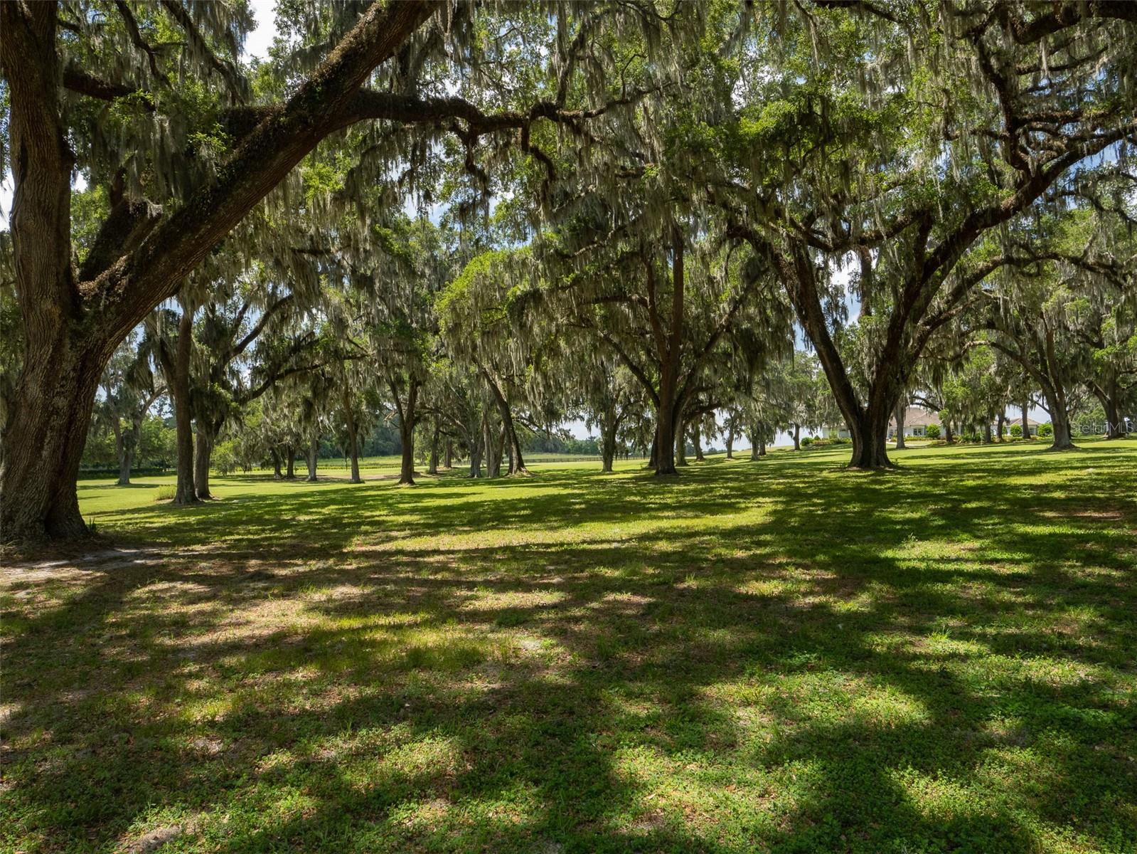 3440 SW 66TH ST, OCALA, FL, 34476