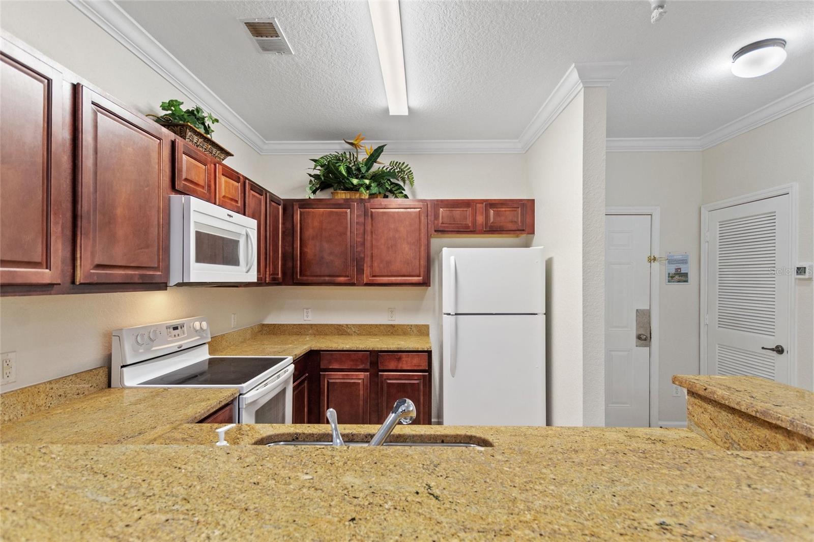 1370 TUSCAN TERRACE #2205, DAVENPORT, FL, 33896