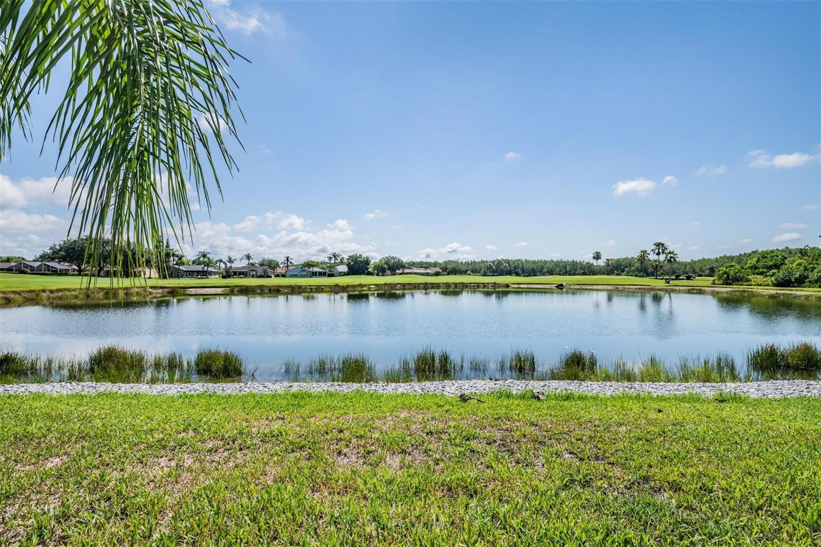 1044 BLYTH HILL CT, TRINITY, FL, 34655