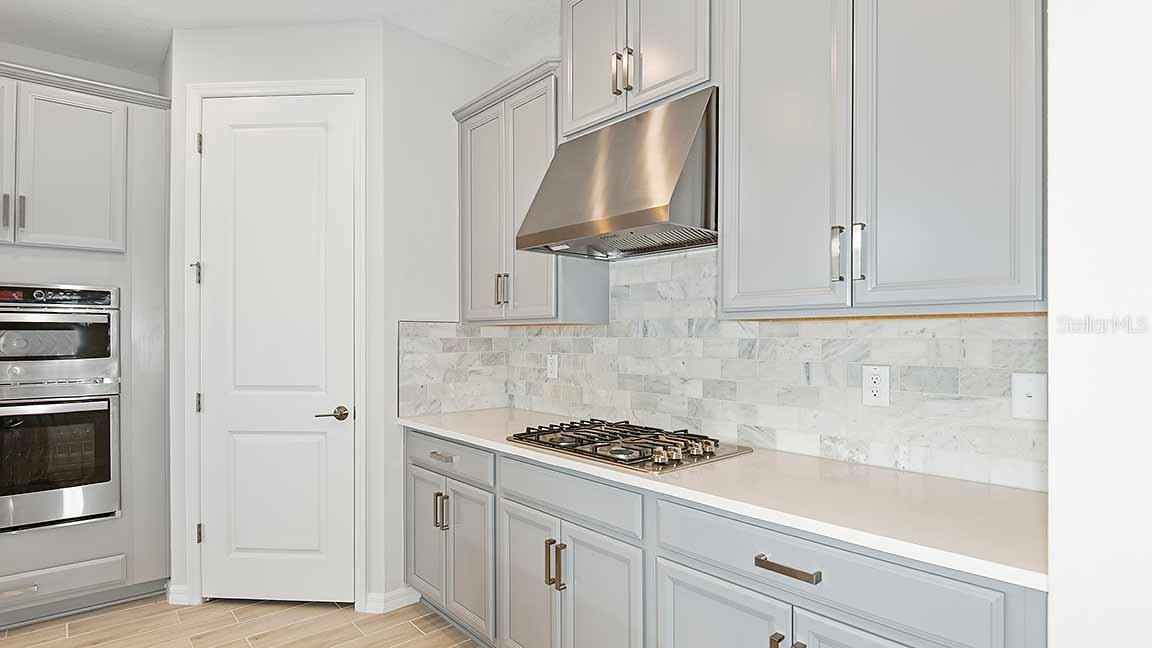 33464 MAINSTAY LOOP, WESLEY CHAPEL, FL, 33543