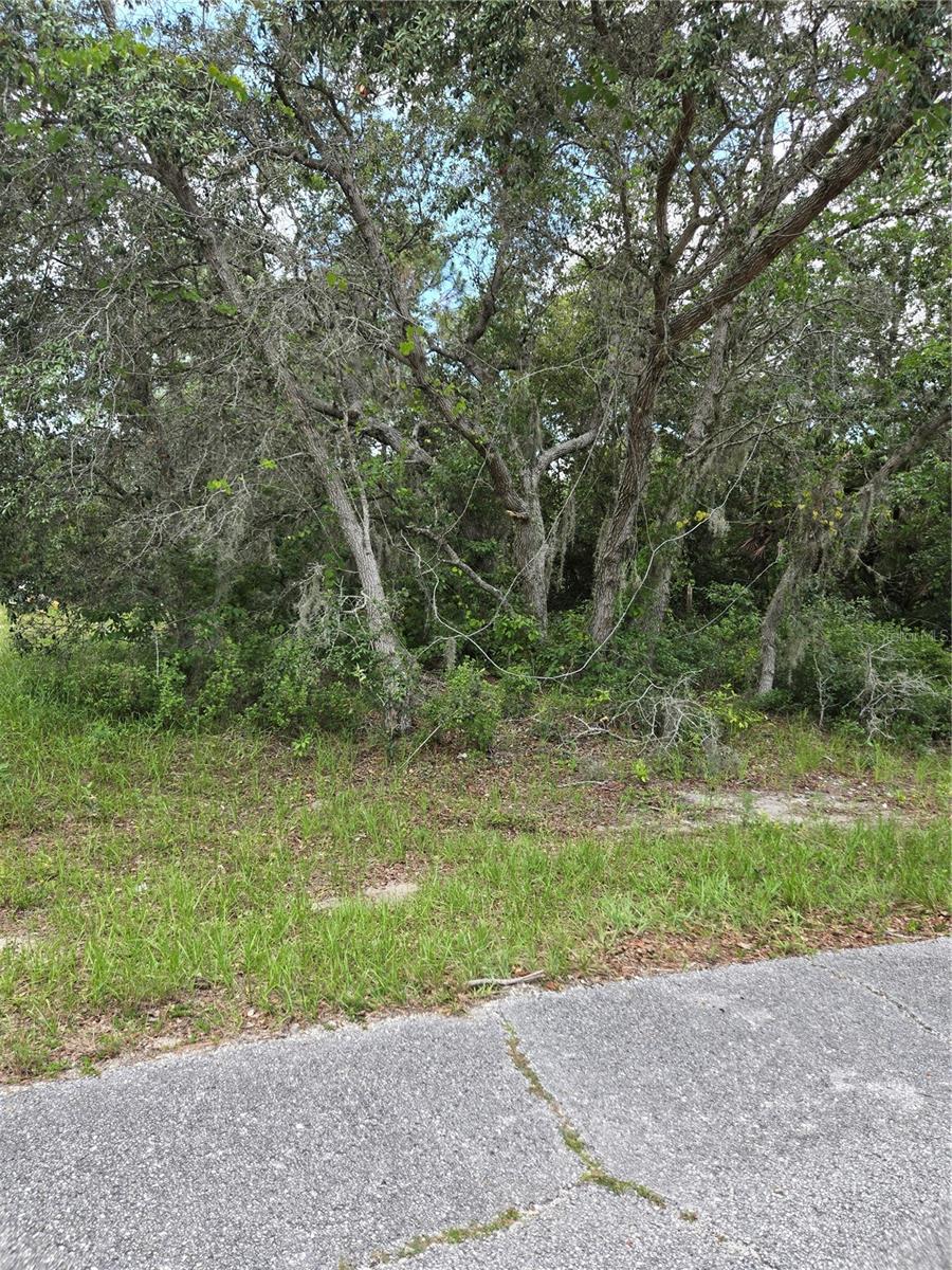 MEDITERRANEAN CT, POINCIANA, FL, 34759