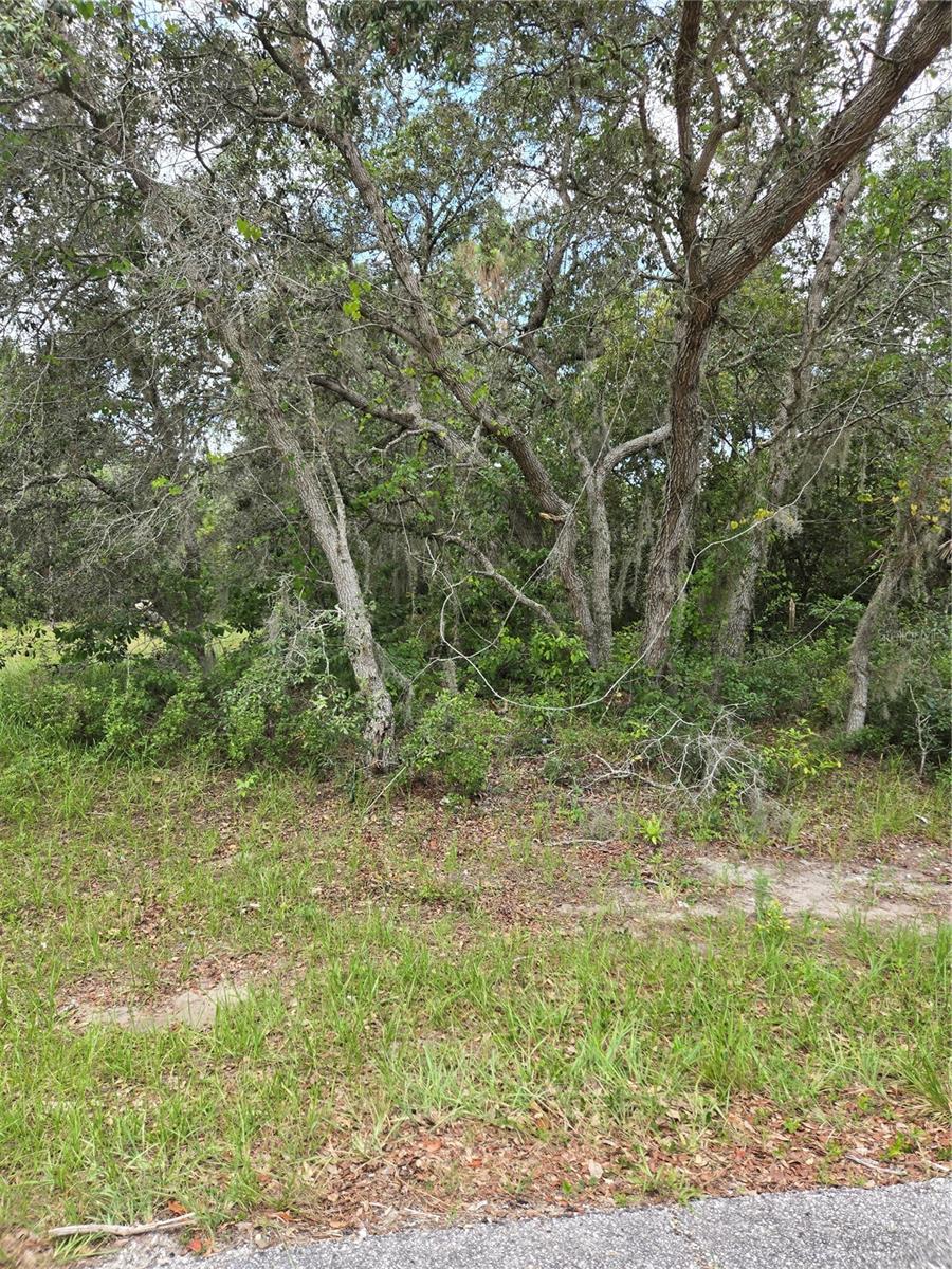 MEDITERRANEAN CT, POINCIANA, FL, 34759