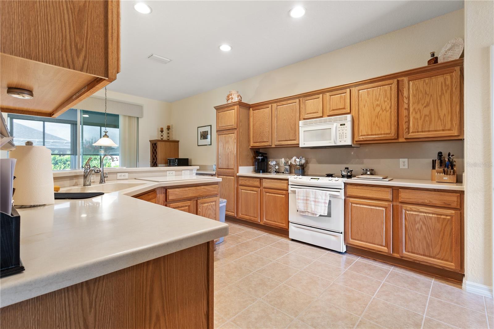 11731 SE 91ST CIR, SUMMERFIELD, FL, 34491