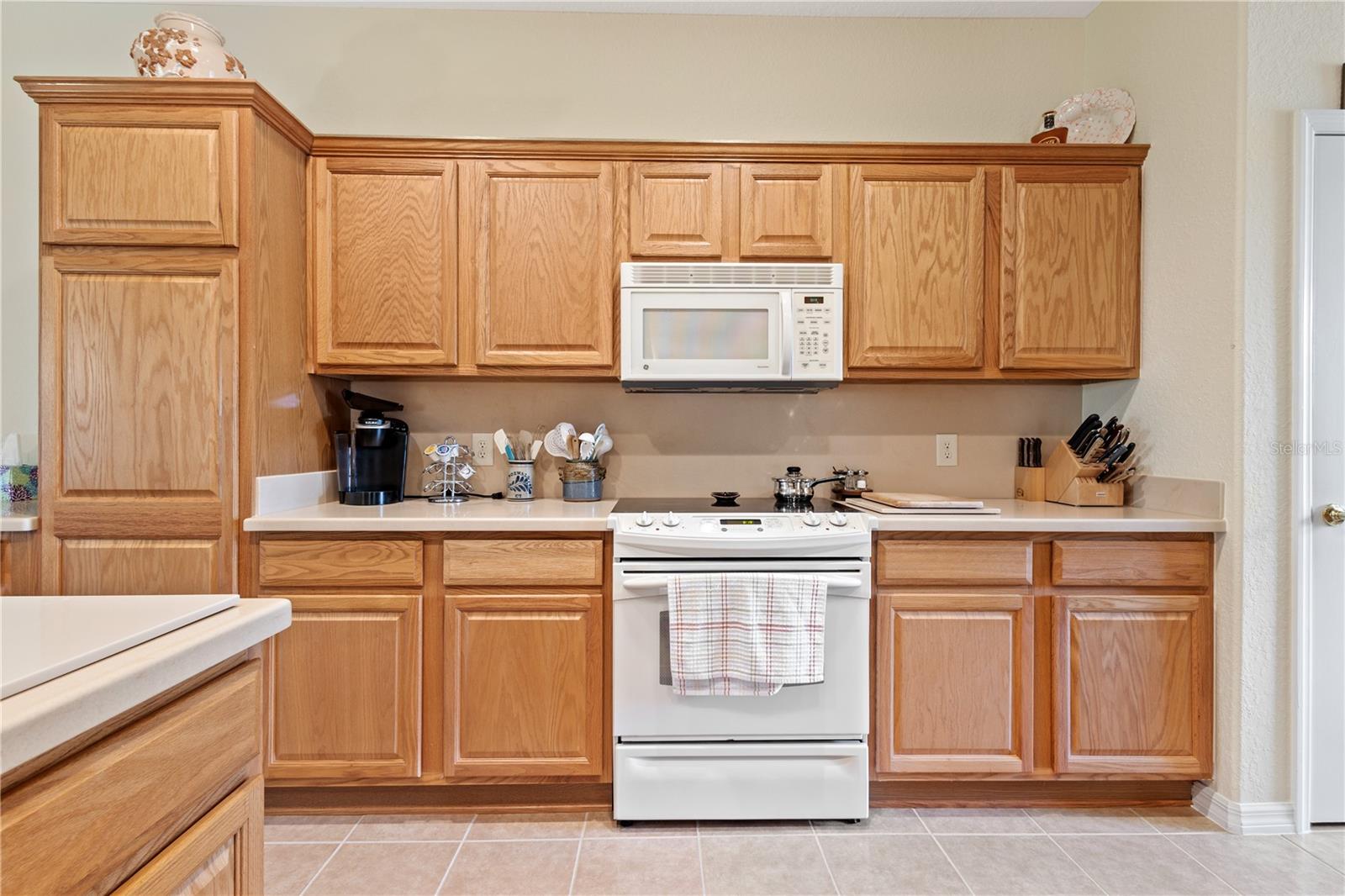 11731 SE 91ST CIR, SUMMERFIELD, FL, 34491