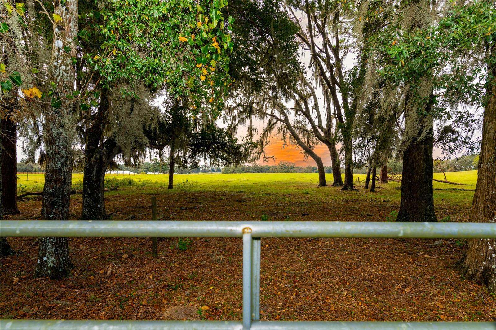 COUNTY ROAD 476, BUSHNELL, FL, 33513