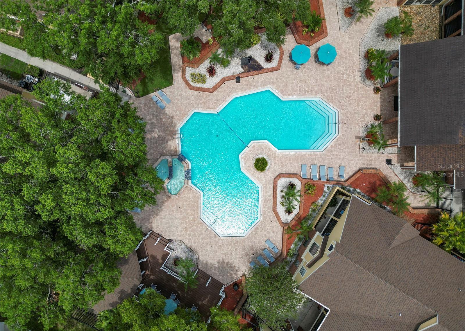 8752 MALLARD RESERVE DR #203 (Furnished), TAMPA, FL, 33614