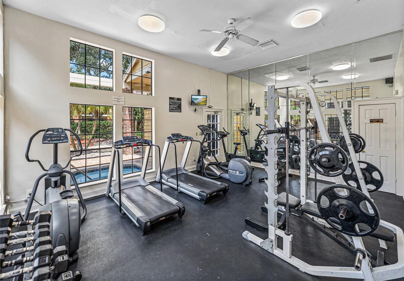 8752 MALLARD RESERVE DR #203 (Furnished), TAMPA, FL, 33614