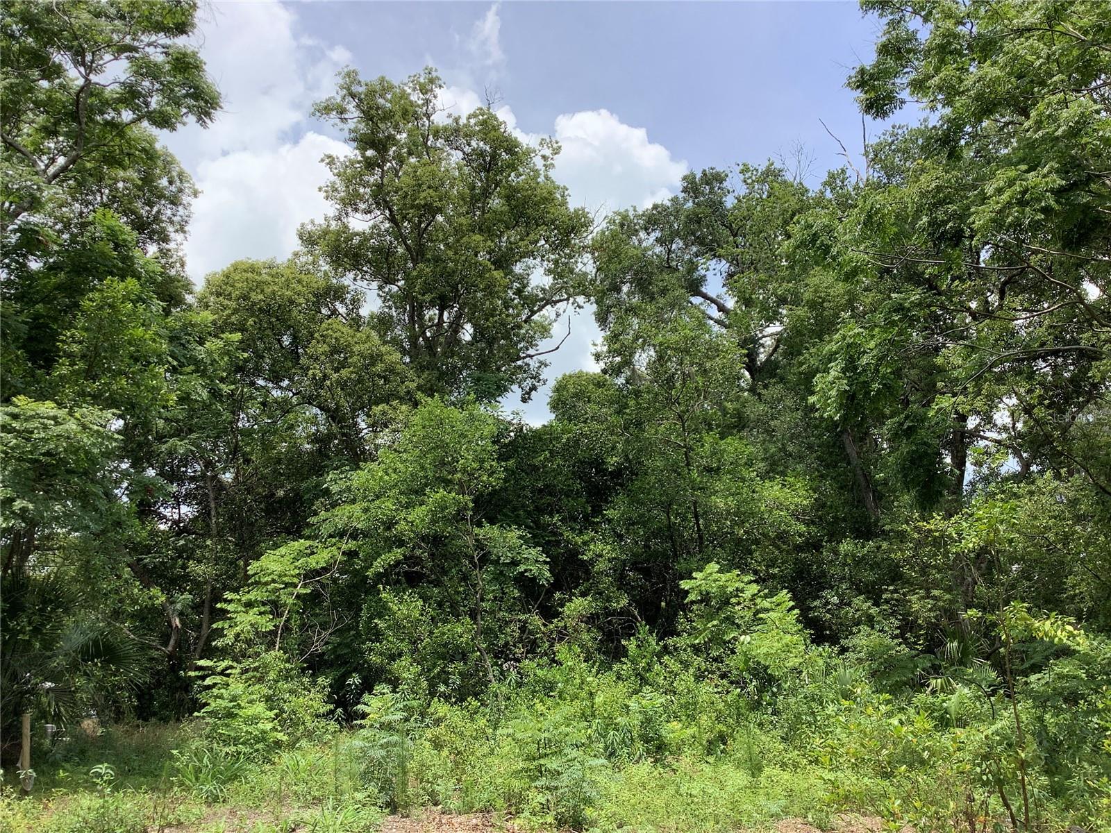 LAWRENCE ST, SORRENTO, FL, 32776