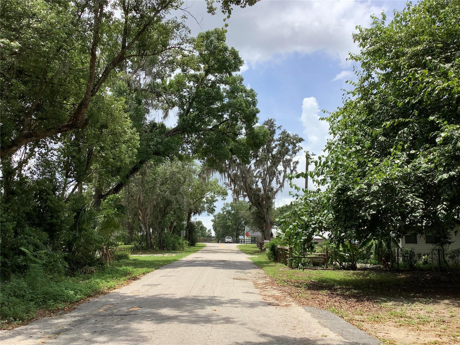 LAWRENCE ST, SORRENTO, FL, 32776