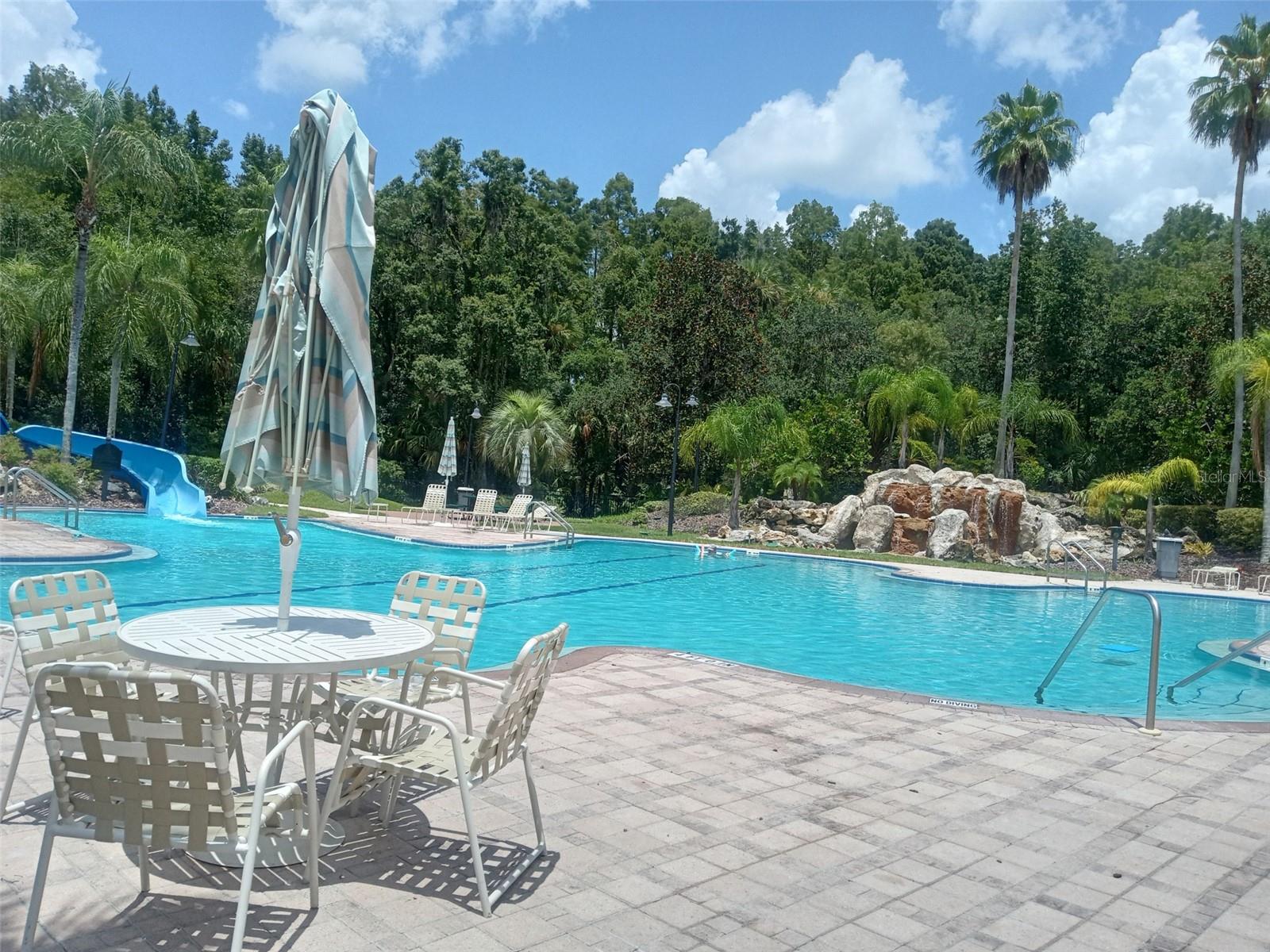 5125 PALM SPRINGS BLVD #1303, TAMPA, FL, 33647