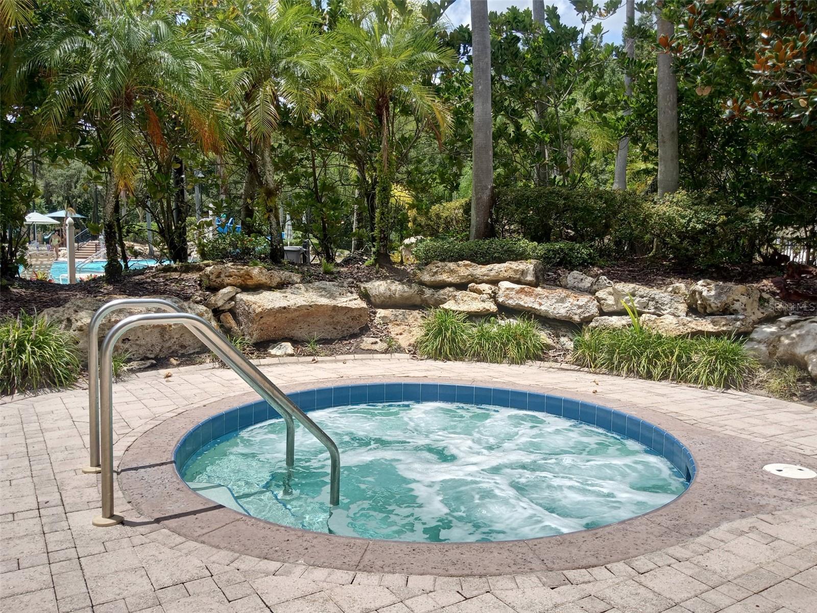 5125 PALM SPRINGS BLVD #1303, TAMPA, FL, 33647