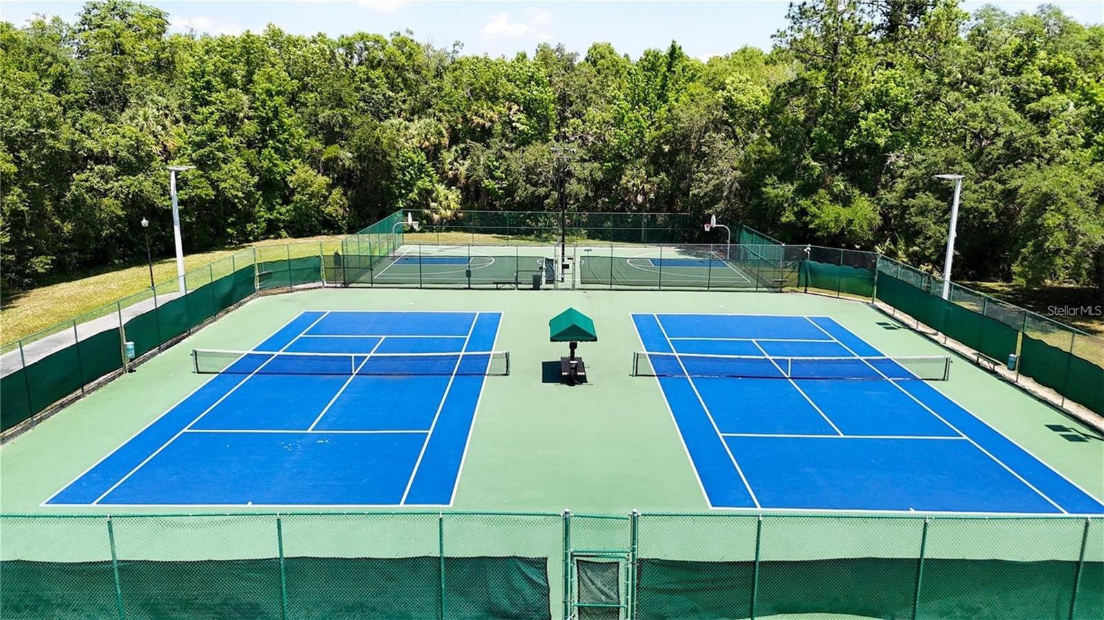 5125 PALM SPRINGS BLVD #1303, TAMPA, FL, 33647