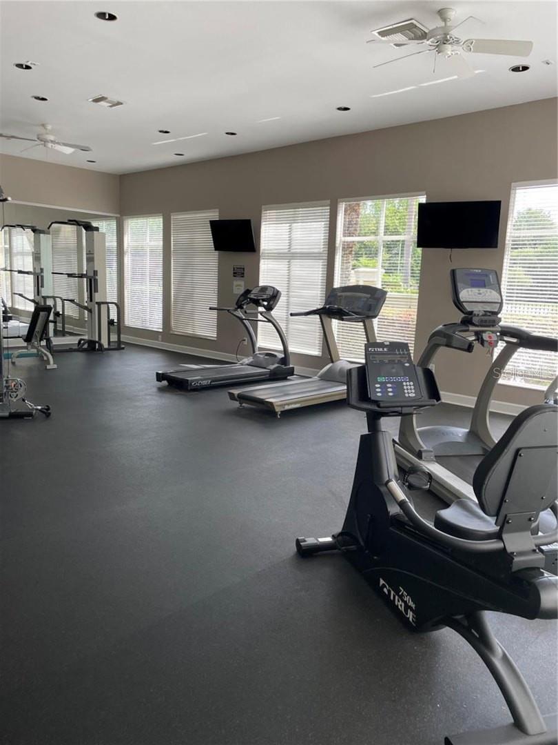 5125 PALM SPRINGS BLVD #1303, TAMPA, FL, 33647