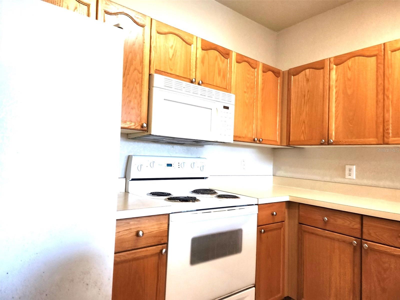 5125 PALM SPRINGS BLVD #1303, TAMPA, FL, 33647