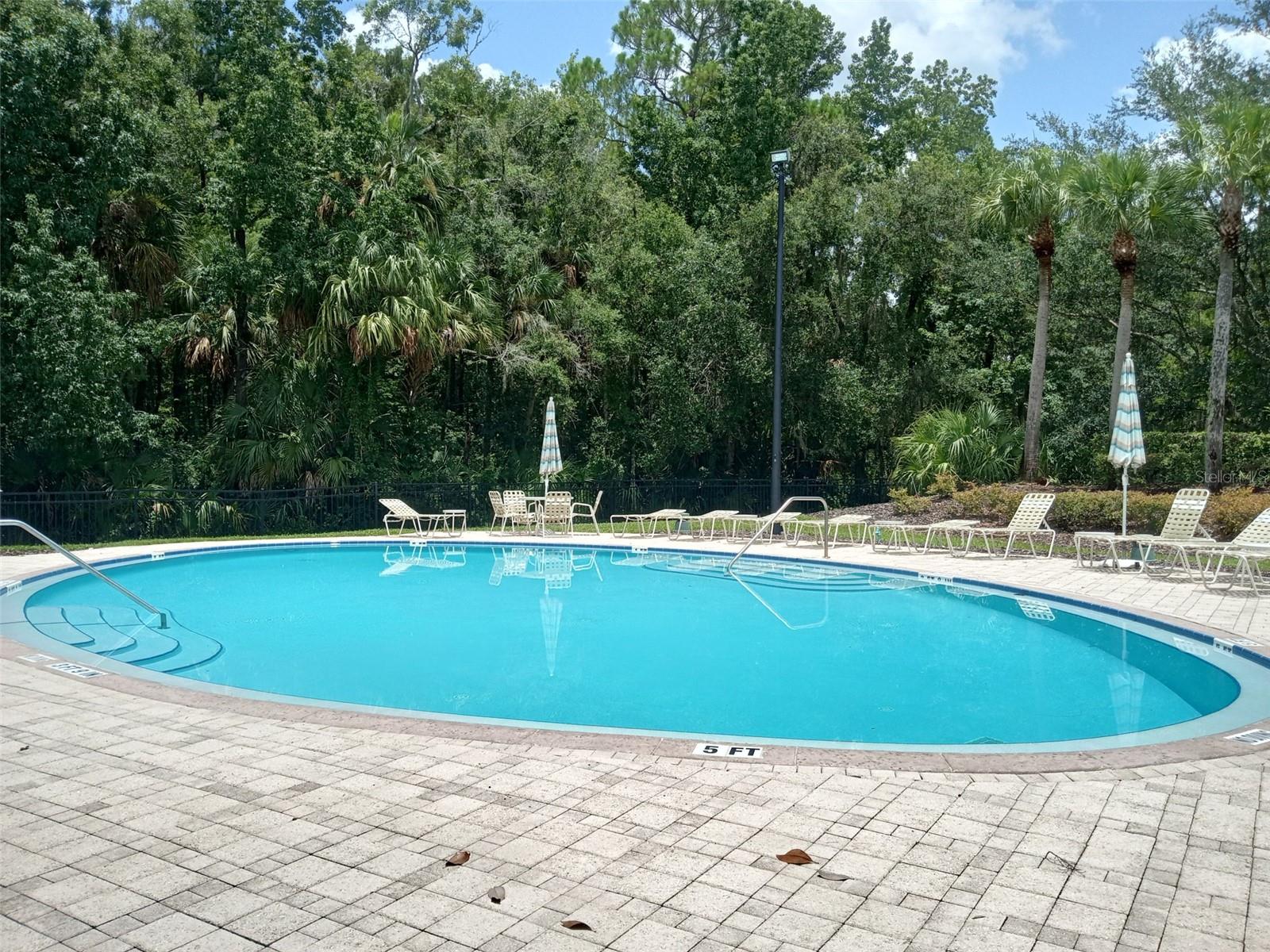 5125 PALM SPRINGS BLVD #1303, TAMPA, FL, 33647