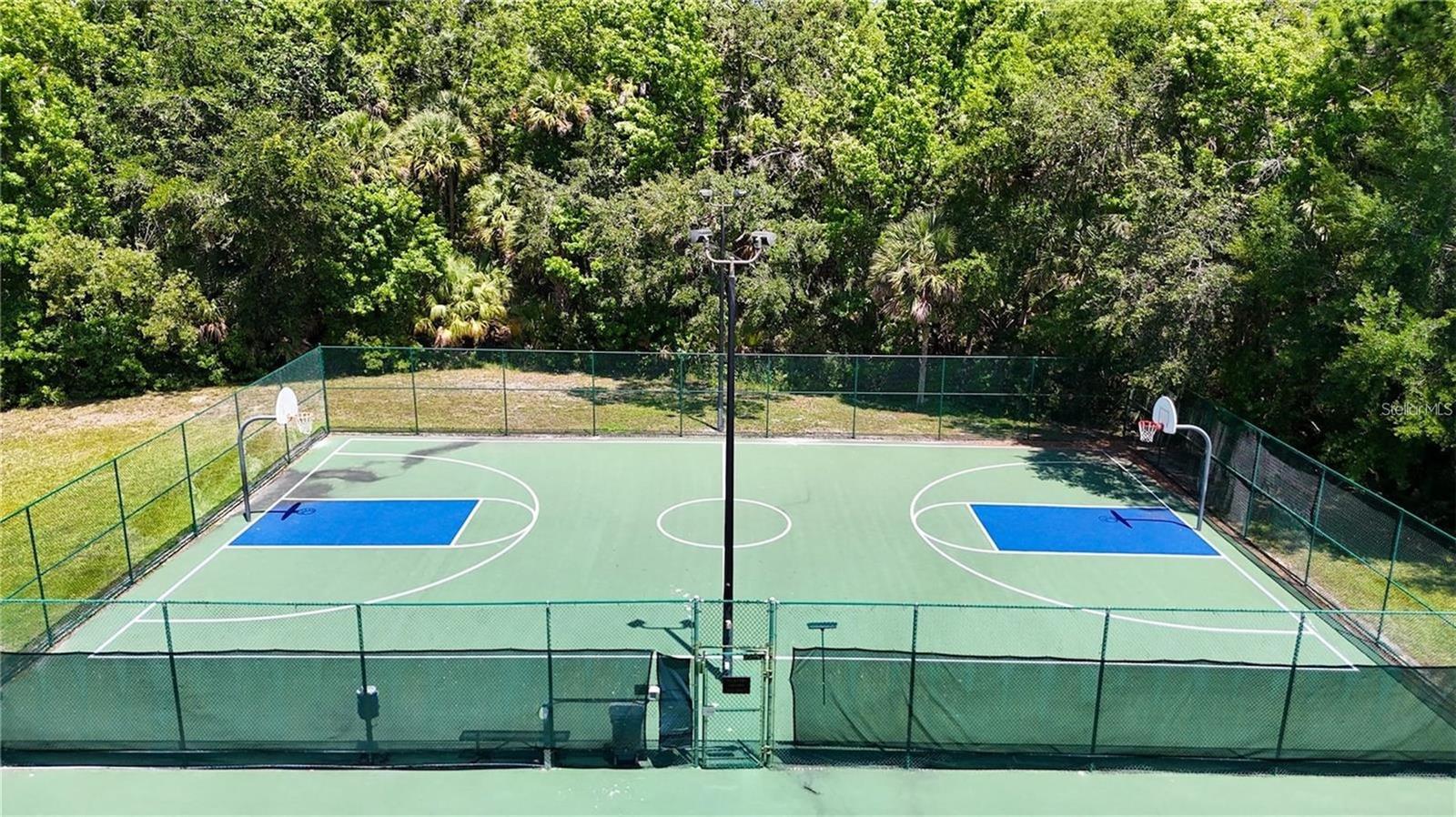 5125 PALM SPRINGS BLVD #1303, TAMPA, FL, 33647