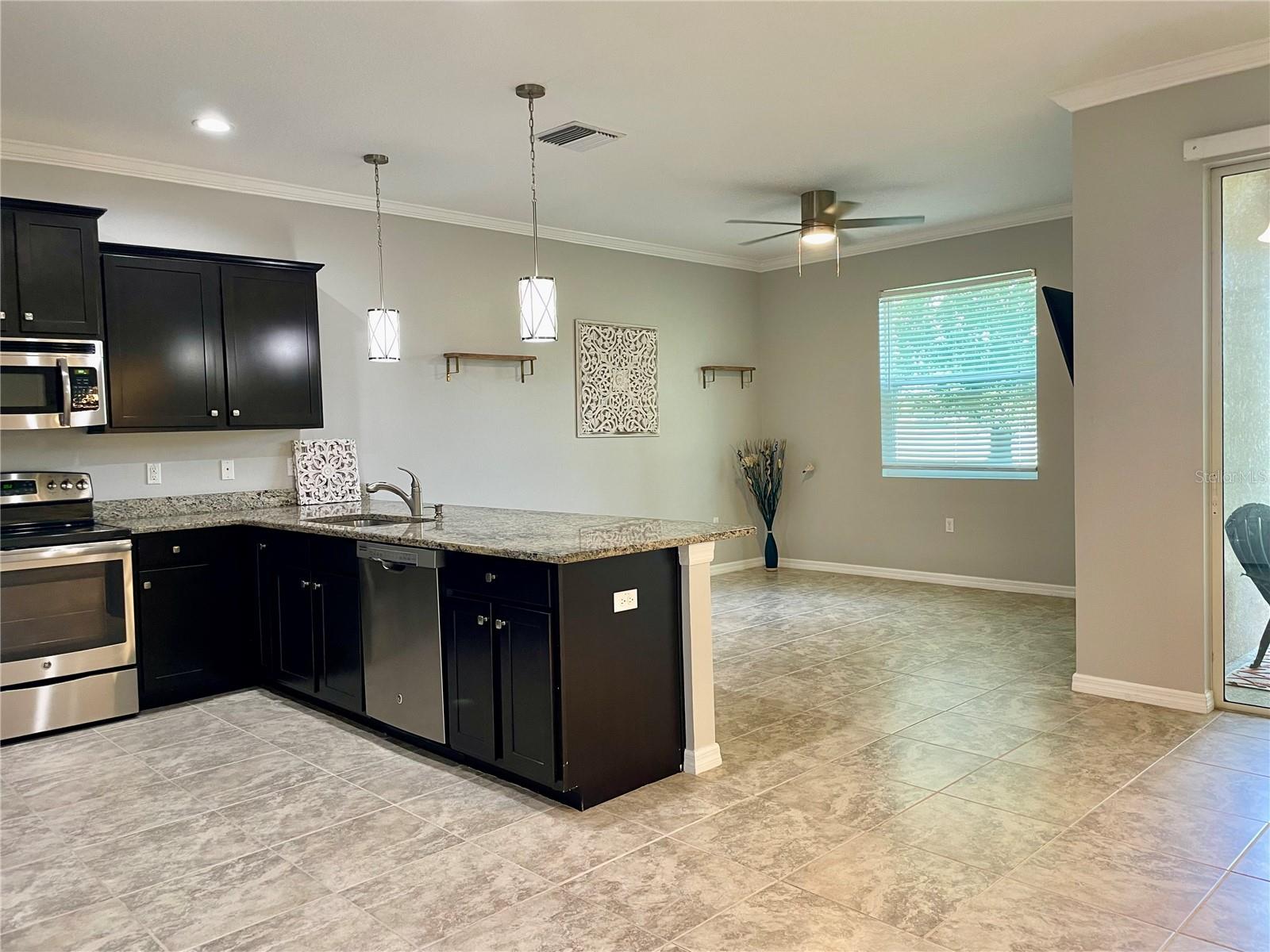 3800 SILVERLAKE WAY, WESLEY CHAPEL, FL, 33544