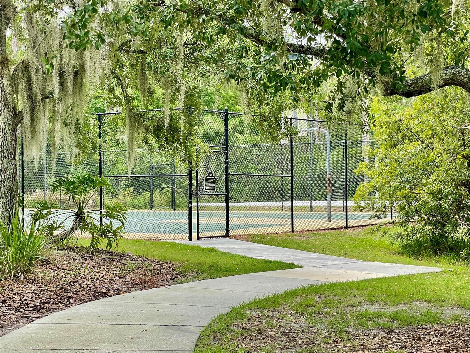 3800 SILVERLAKE WAY, WESLEY CHAPEL, FL, 33544
