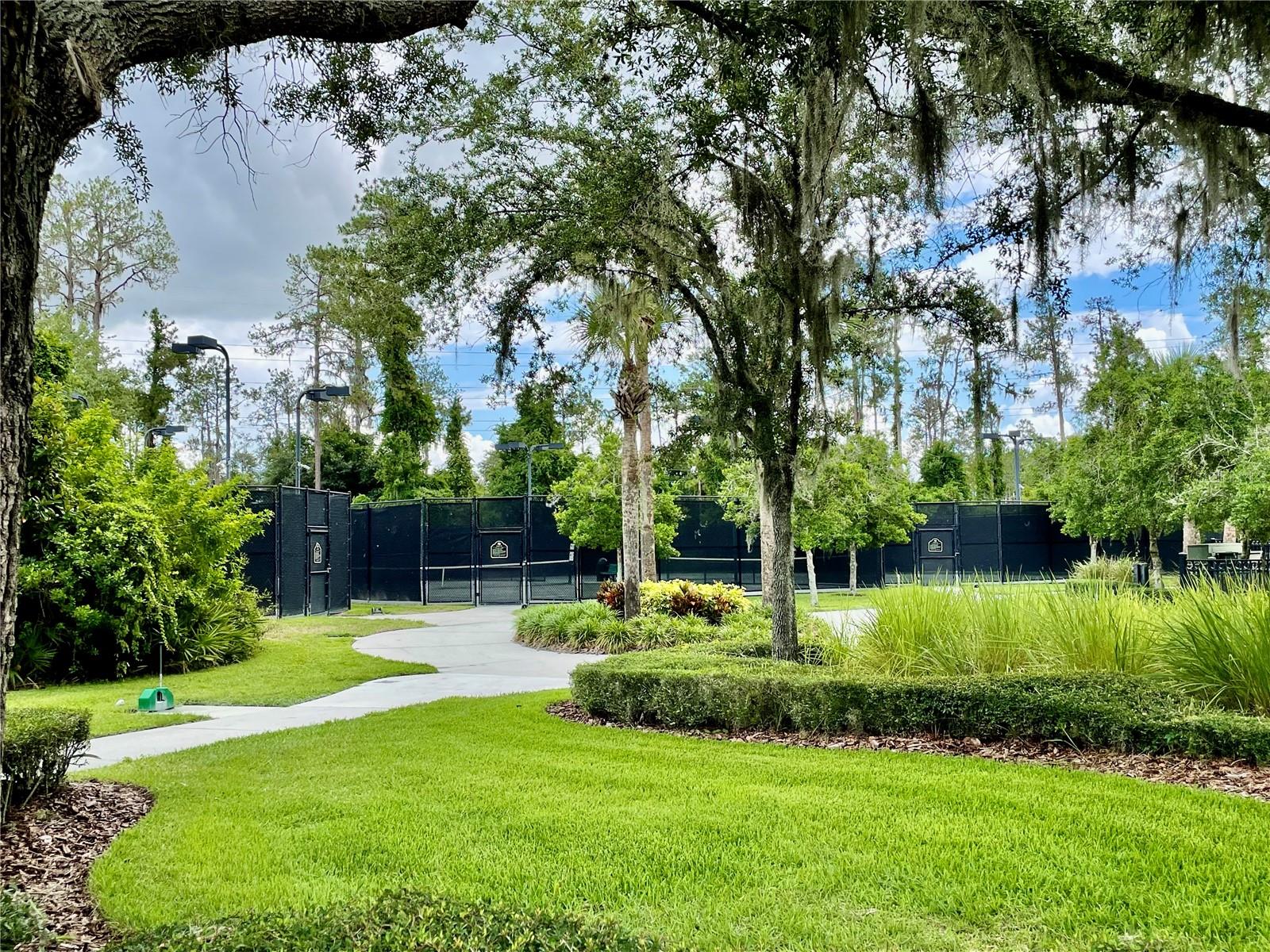 3800 SILVERLAKE WAY, WESLEY CHAPEL, FL, 33544