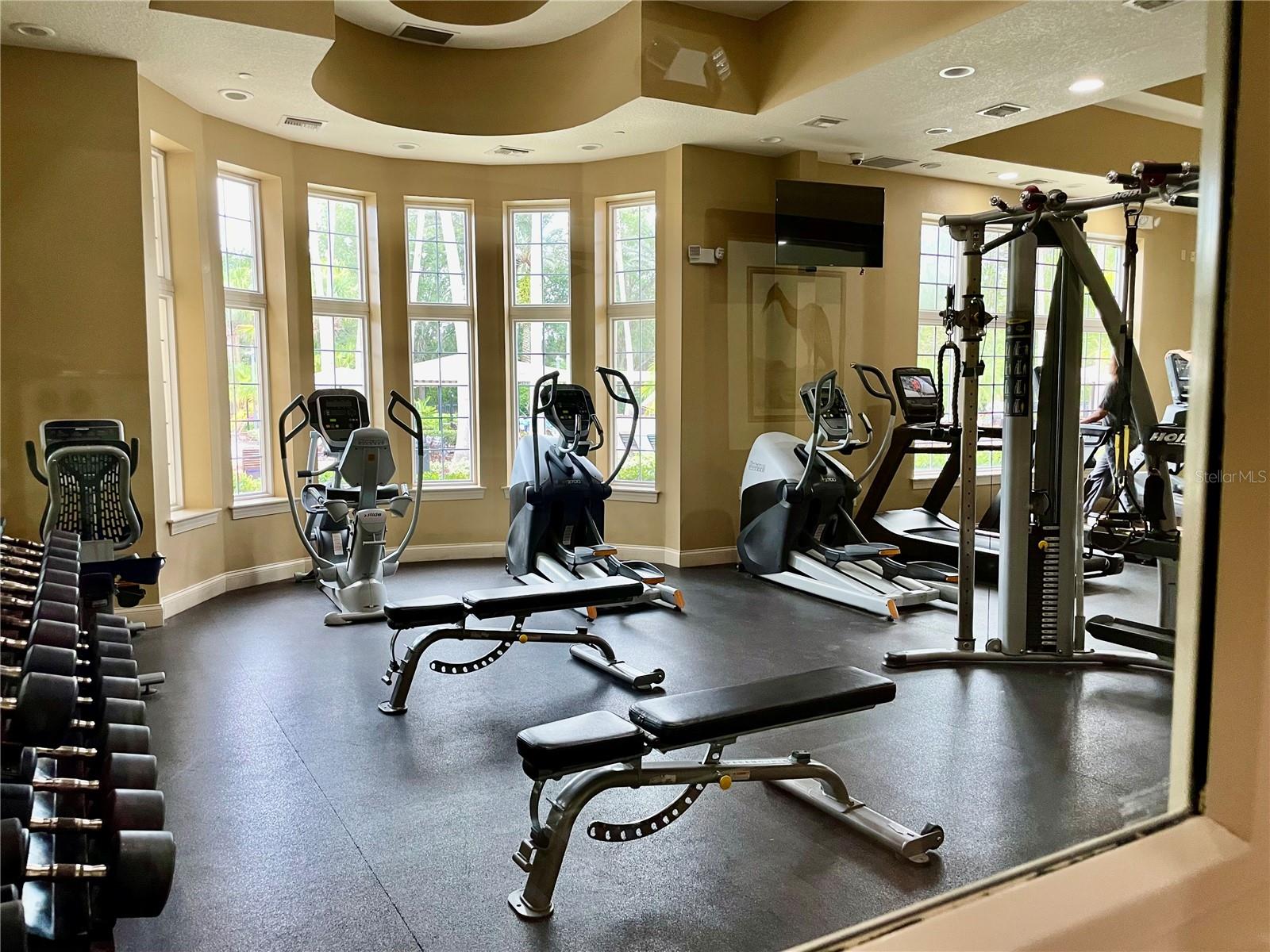 3800 SILVERLAKE WAY, WESLEY CHAPEL, FL, 33544