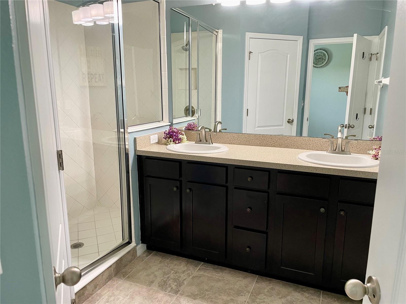 3800 SILVERLAKE WAY, WESLEY CHAPEL, FL, 33544