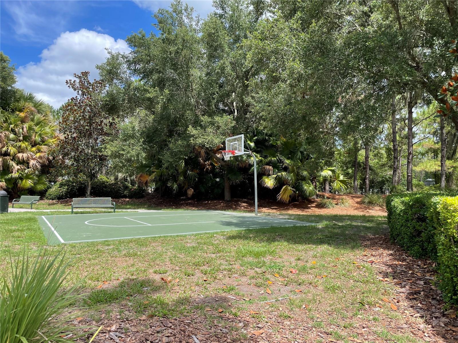 3800 SILVERLAKE WAY, WESLEY CHAPEL, FL, 33544