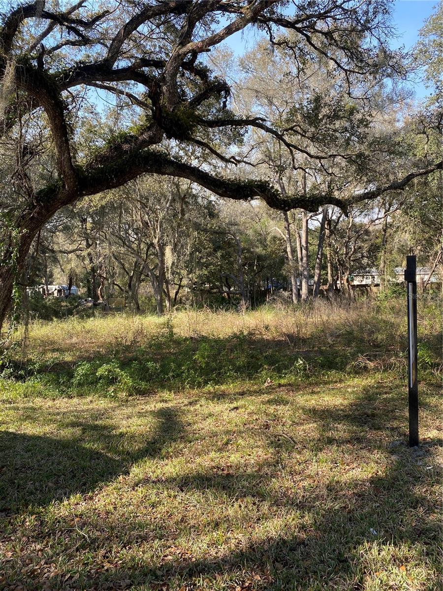 WITHLACOOCHEE HEIGHTS, BUSHNELL, FL, 33513