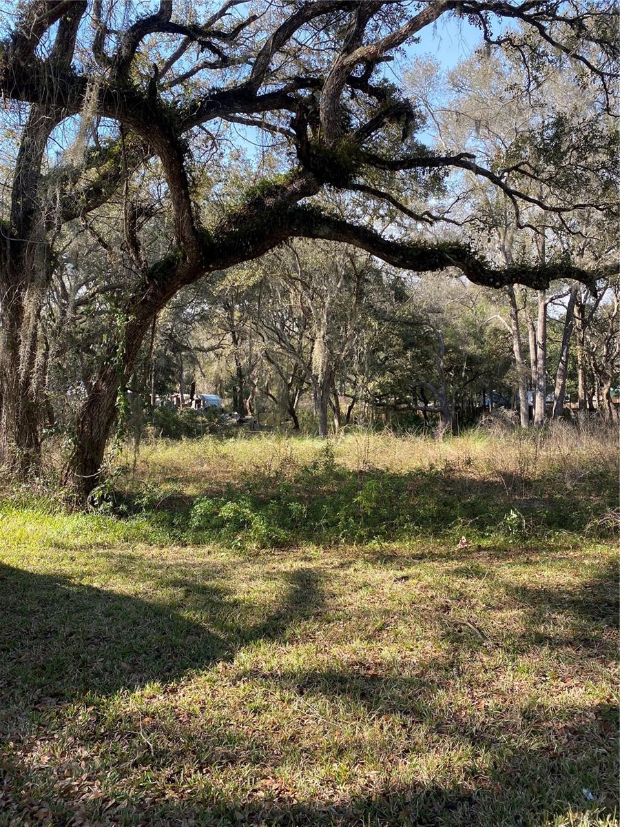 WITHLACOOCHEE HEIGHTS, BUSHNELL, FL, 33513