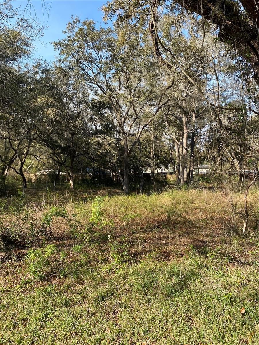 WITHLACOOCHEE HEIGHTS, BUSHNELL, FL, 33513