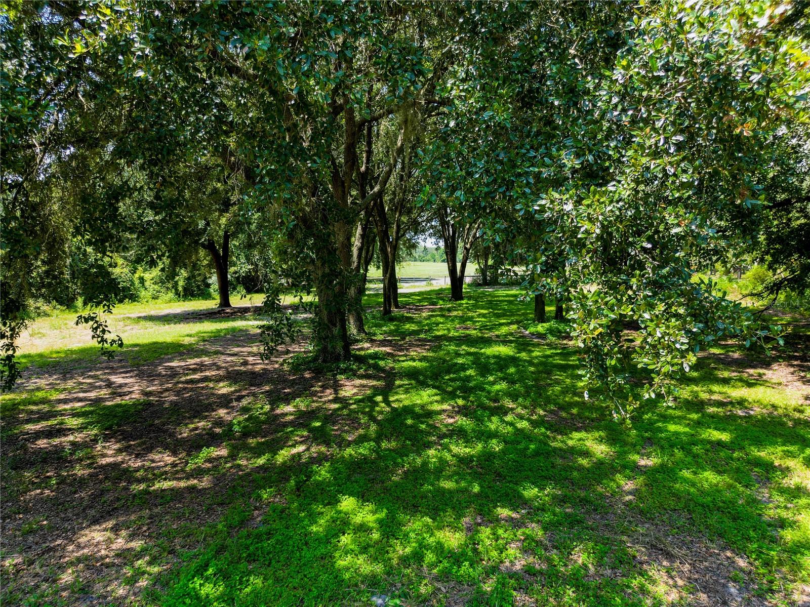 8715 STATE ROAD 33, GROVELAND, FL, 34736
